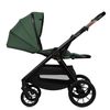 купить Детская коляска Lionelo Carucior 2in1 Layla Green Forest в Кишинёве 
