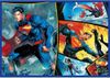 купить Головоломка Trefl 13340 Puzzles 4x250 The Courage of Superman Warner Superman в Кишинёве 