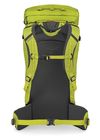 купить Туристический рюкзак Osprey Mutant 38 Lemongrass S/M (810165740662) в Кишинёве 