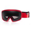 купить Маска лыжная Spokey Grays Goggles, 92669x в Кишинёве 