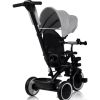 cumpără Bicicletă-cărucior Lionelo Berry Grey Stone în Chișinău 