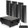 купить Колонки Hi-Fi LitheAudio 5.1 Wireless Surround Sound Cinema Kit With WiSA Cinema Hub (B-IO1-W-51CH-B) в Кишинёве 