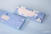 купить Клавиатура Varmilo VEM87 Sea Melody EC V2 Sakura Multicolor (Eng/Rus) в Кишинёве 