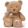 cumpără Jucărie de pluș Baby Gund 6055515 My 1st Teddy Tan 38cm în Chișinău 