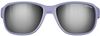 купить Защитные очки Julbo Monterosa 2 Purple Sp 3cf (J5421126) в Кишинёве 