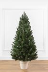 cumpără Brad artificial Promstore 57952 Lapland, ace turnate, 110cm, in ghiveci, PE în Chișinău 