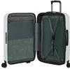купить Чемодан Samsonite 2wander 55/20 TSA Exp Gri Deschis (159909/B011) в Кишинёве 