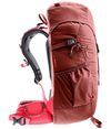 cumpără Rucsac turistic Deuter Climber 22 redwood-hibiscus în Chișinău 