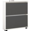 cumpără Raft pentru încălțăminte Mobildor-Lux Leo Slim 100x16x86H cm White/Anthracite în Chișinău 