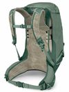 cumpără Rucsac turistic Osprey Stratos 34 Pine Leaf Green (810165747470) în Chișinău 