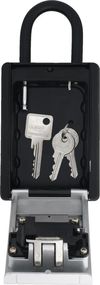 купить Бытовой сейф Abus 797 Caseta pentru chei (119x84x44) в Кишинёве 