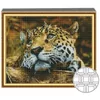 купить Картина по номерам Art Gallery QB203029 Mozaic cu diamante patrate 40x50cm Privire patrunzatoare de pradator в Кишинёве 