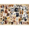 cumpără Puzzle Castorland Puzzle B-222162 Puzzle 200 elemente în Chișinău 