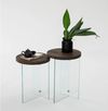 cumpără Măsuţă cafea Trendy Serenity 2, Transparent, Nuc, set în Chișinău 