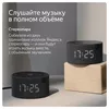 cumpără Boxă portativă Bluetooth Yandex YNDX-00020G Alisa Station Mini Gray în Chișinău 