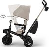 купить Велосипед-коляска KinderKraft KRAVEO02BEG0000 Aveo 2 Plus Beige в Кишинёве 