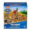 cumpără Jucărie Spin Master 6069661 Paw Patrol Pup Squard Fig Rescue Wheels (assort.) în Chișinău 