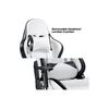 cumpără Scaun gaming Lumi Premium Gaming Chair with CH06-36 Headrest & Lumbar Support CH06-36, Black/White, PVC Leather, 2D Armrest, Steel Frame, 350mm Nylon Plastic Base, PU Caster, 80mm Class 4 Gas Lift, Weight Capacity 180 Kg XMAS în Chișinău 