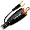 cumpără Cablu pentru AV Audioquest Black Lab RCA-RCA 3.0m în Chișinău 