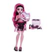 cumpără Păpușă Mattel JHK43 Draculaura în Chișinău 
