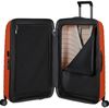 купить Чемодан Samsonite Proxis 69/29 TSA Flame (126041/T189) в Кишинёве 