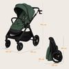 купить Детская коляска Lionelo Carucior 2in1 Layla Green Forest в Кишинёве 