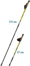 купить Треккинговые палки Enero Nordic Walking NewIcon в Кишинёве 