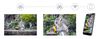 cumpără Binoclu Levenhuk Kelvin Snap ED 8x42 Digital Photobinoculars în Chișinău 