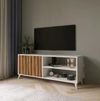 купить Тумба напольная для TV Trendy Tasarim L3019 (GTR000272) в Кишинёве 