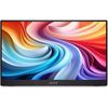 купить Монитор Acer PM161QB Portable Monitor Black в Кишинёве 