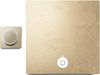 cumpără Amplificator Devialet Astra Dual OdP Stack în Chișinău 