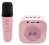 купить Музыкальная игрушка Essa DN12052 Boxă karaoke cu 2 microfoane și lumina LED, Roz в Кишинёве 