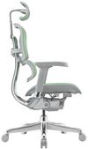 купить Офисное кресло ART Ergohuman Elite 2 Green T-168-B6 EHE2-AG-HAM-5D-L в Кишинёве 