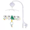 купить Карусель для кроватки Chipolino MILD02302KOA koala, карусель с проектором в Кишинёве 