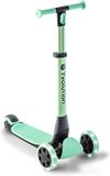 купить Самокат Yvolution YV-101263 Y Glider Nua Green в Кишинёве 