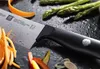 купить Нож Zwilling 38580-091-0 LIFE 8cm в Кишинёве 