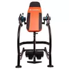 купить Силовой комплекс inSPORTline 690 Masa inversie (200 kg-198 cm) IN10554 Profi в Кишинёве 