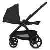 купить Детская коляска Lionelo Carucior 2in1 Carmine Black Onyx в Кишинёве 