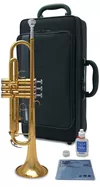 cumpără Instrument muzical de suflat Yamaha YTR 3335 în Chișinău 