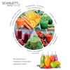 купить Соковыжималка шнековая Scarlett SC-JE50S59 в Кишинёве 