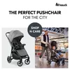 cumpără Сărucior pentru copii Hauck Shop N Care Grey în Chișinău 