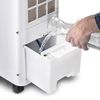 купить Охладитель воздуха Trotec Aircooler PAE 21 в Кишинёве 