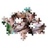 купить Пазл Clementoni Puzzle 60 Noli Lovely Kitty Twins (26599) в Кишинёве 