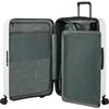 cumpără Valiză Samsonite 2wander 81/30 TSA Exp Gri (159912/B011) în Chișinău 