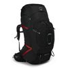 купить Рюкзак Osprey Aether Plus 100, 100028xx в Кишинёве 