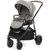 купить Детская коляска Joie S1803IAPEB000 Versatrax Pebble в Кишинёве 