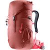 cumpără Rucsac turistic Deuter Climber 22 redwood-hibiscus în Chișinău 