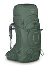 cumpără Rucsac turistic Osprey Ariel 65 Koseret Green Wm/Wl (843820199529) în Chișinău 