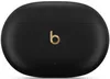 купить Наушники беспроводные Beats Studio Buds Plus Black в Кишинёве 