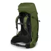 купить Рюкзак Osprey Aether 65, 10002953 в Кишинёве 